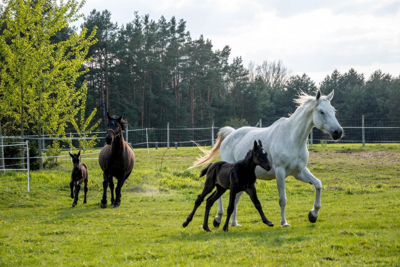 Modern Rancho - Apartamenty Nad Rzeka, Przy Stadninie Koni Kruszyna  Bagian luar foto